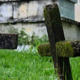 Una cruz cubierta de musgo se alza en un antiguo cementerio cubierto de maleza, evocando una atmósfera misteriosa.