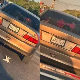 Denuncian abandono y atropello de gatitos en Maracaibo