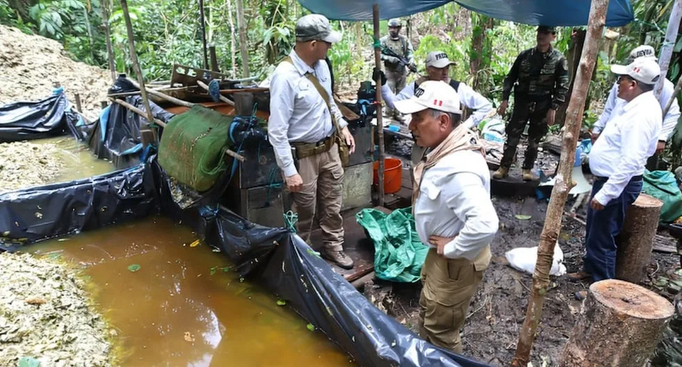 Erradicación de coca en Perú supera 1.624 hectáreas en octubre