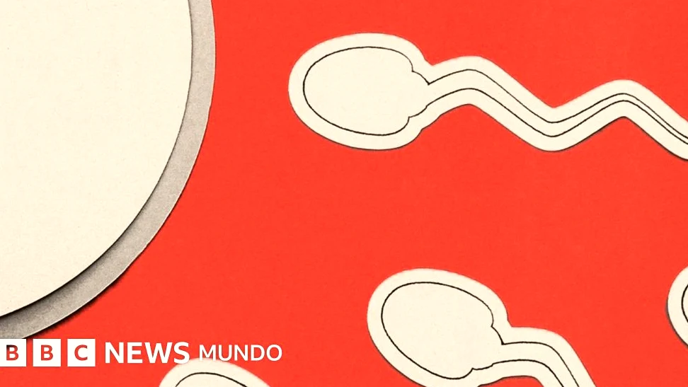 La infertilidad masculina sigue relegada en el diagnóstico
