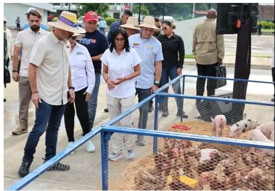 Padrino afirma que mujeres concentran 34% de tierras agrícolas