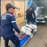 Seis personas fueron atendidas tras ataque de abejas africanas en Cuatricentenario
