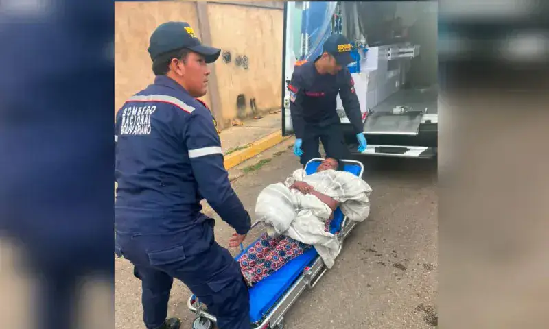Seis personas fueron atendidas tras ataque de abejas africanas en Cuatricentenario