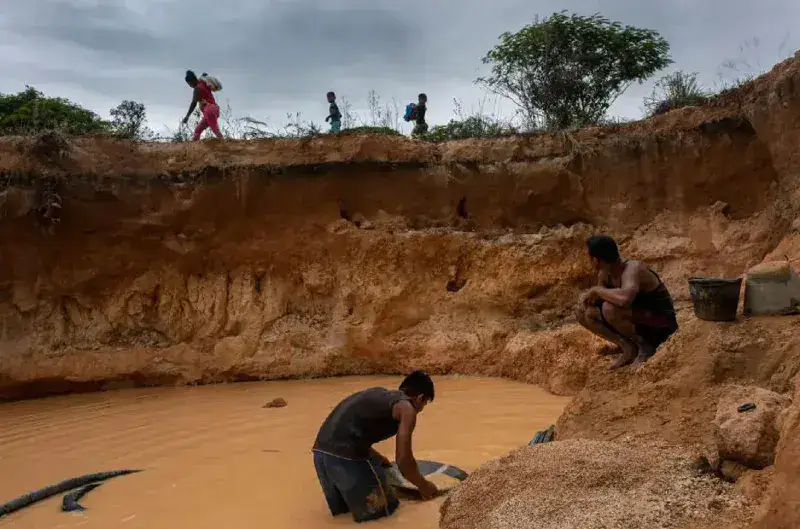 SOS Orinoco acusa complicidad institucional en expansión de la minería ilegal en la Amazonía
