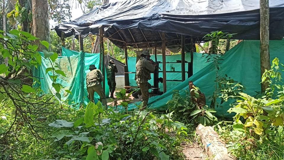 Más de 4 mil viviendas improvisadas ha desmantelado la FANB en Yapacana