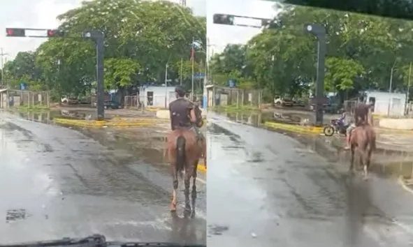 Jinete en Mene Grande se hace viral al respetar el semáforo