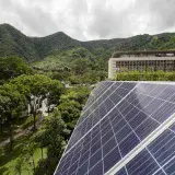 Nelson Hernández plantea descentralizar la generación para aliviar la crisis eléctrica