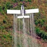 Gobernación de Putumayo teme por fumigación aérea