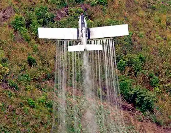 Gobernación de Putumayo teme por fumigación aérea