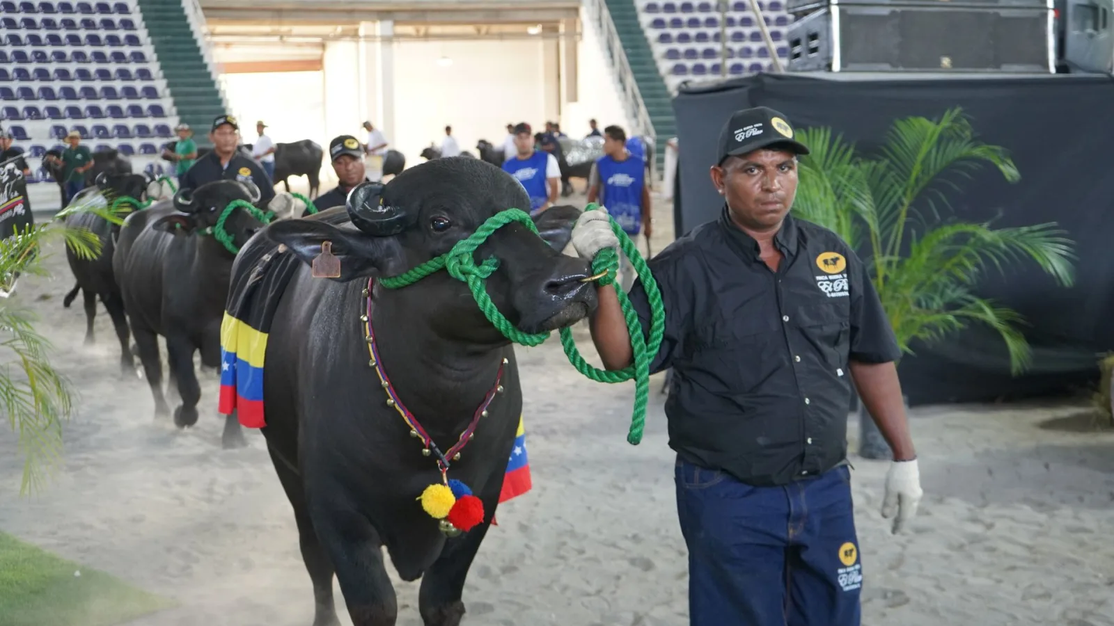 Lara Fest 2026 unirá a cuatro universidades en feria ganadera