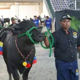 Lara Fest 2026 unirá a cuatro universidades en feria ganadera