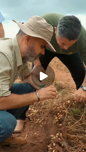 Publicación de Instagram de Ministerio del P.P para la Agricultura Productiva y Tierras