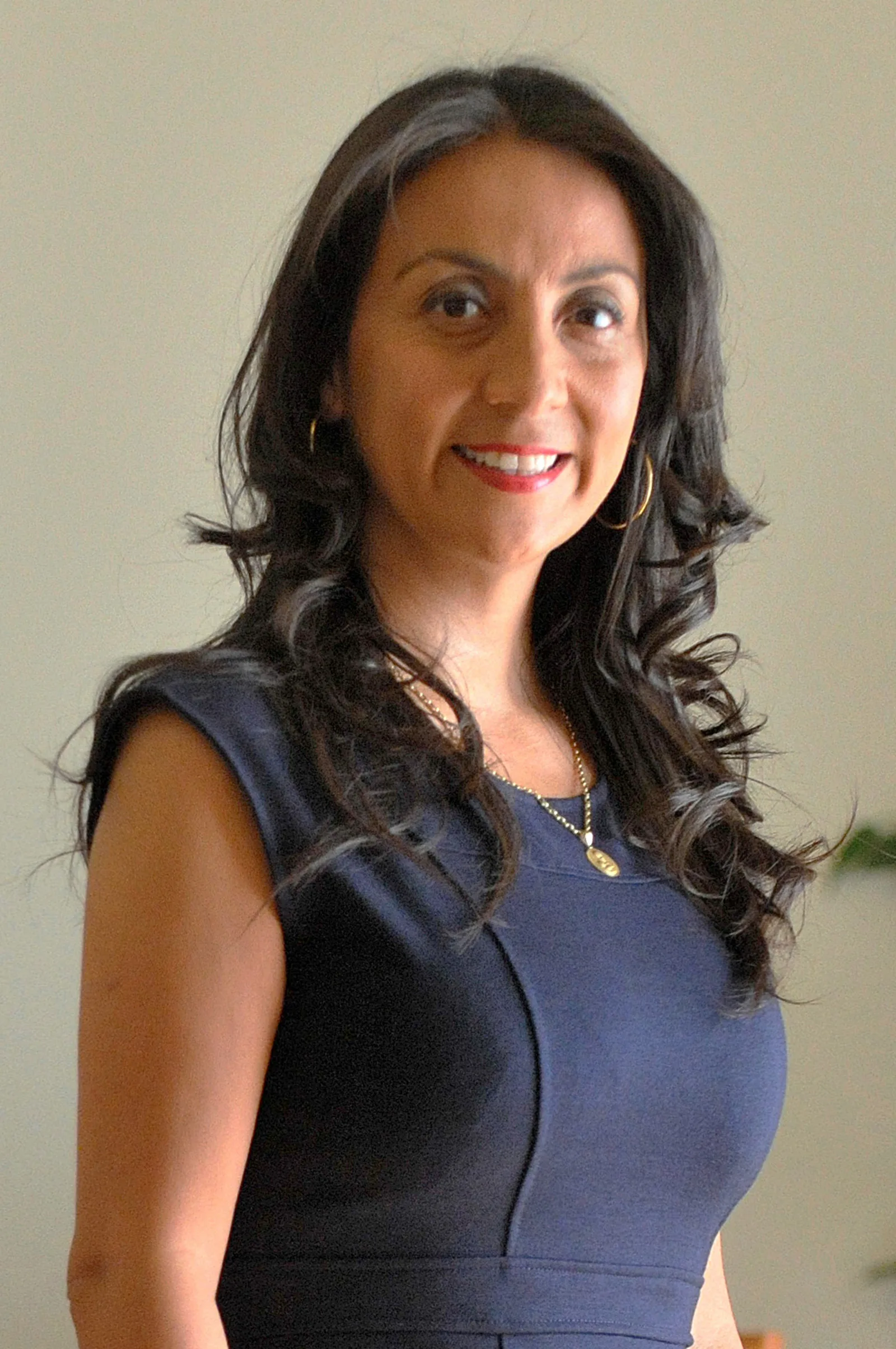 Ministra Segegob Cecilia Pérez Jara (26 11 2013)