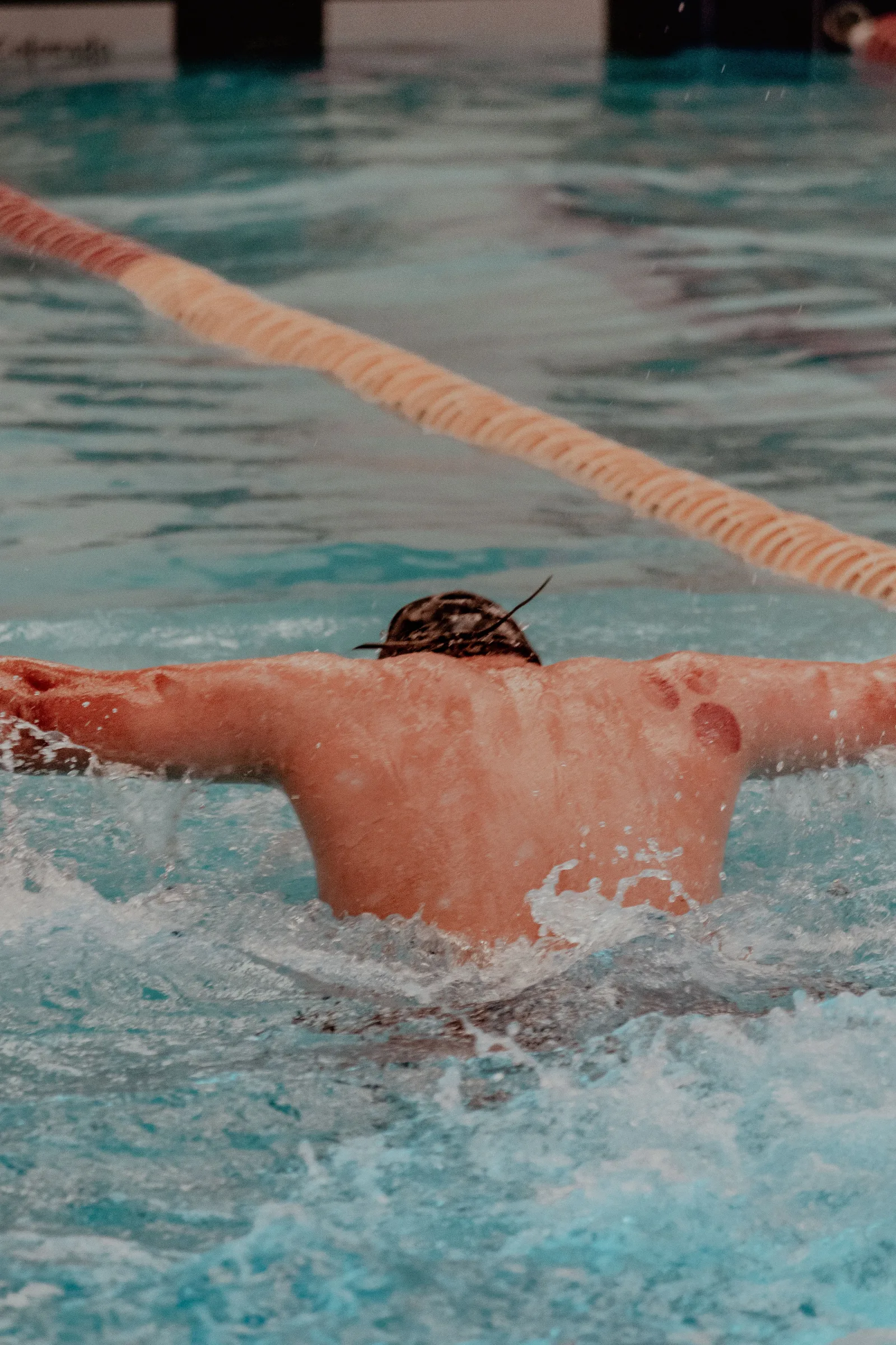 Back view of a swimmer competing in a pool in San Luis Potosí, showcasing water sports dynamics.