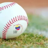 MLB da vía libre a grandeligas para jugar en la LVBP