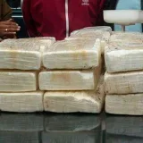 Detienen a tres y confiscan 1.735 panelas de droga en Falcón