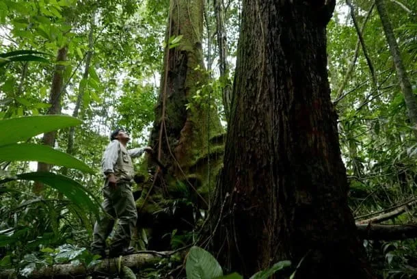 Padre de defensor ambiental en Perú cuestiona la demora judicial