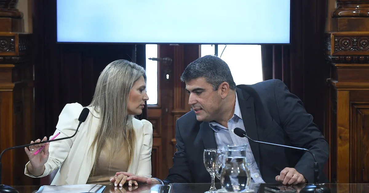 Senadores argentinos avanzan en un padrón de morosos alimentarios