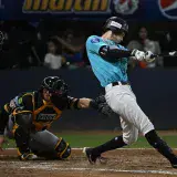 LVBP en vivo: Dónde ver Bravos de Margarita vs. Navegantes del Magallanes en TV, streaming y lineups