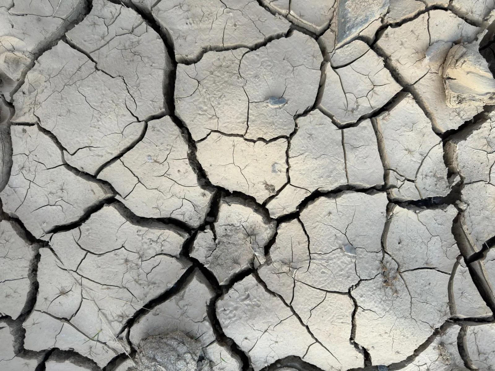 Primer plano de tierra agrietada que resalta el impacto de la sequía y el cambio climático.