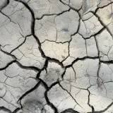 Primer plano de tierra agrietada que resalta el impacto de la sequía y el cambio climático.