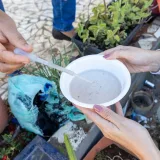 La OPS pide reforzar vigilancia por alza de dengue y chikungunya