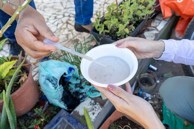 La OPS pide reforzar vigilancia por alza de dengue y chikungunya