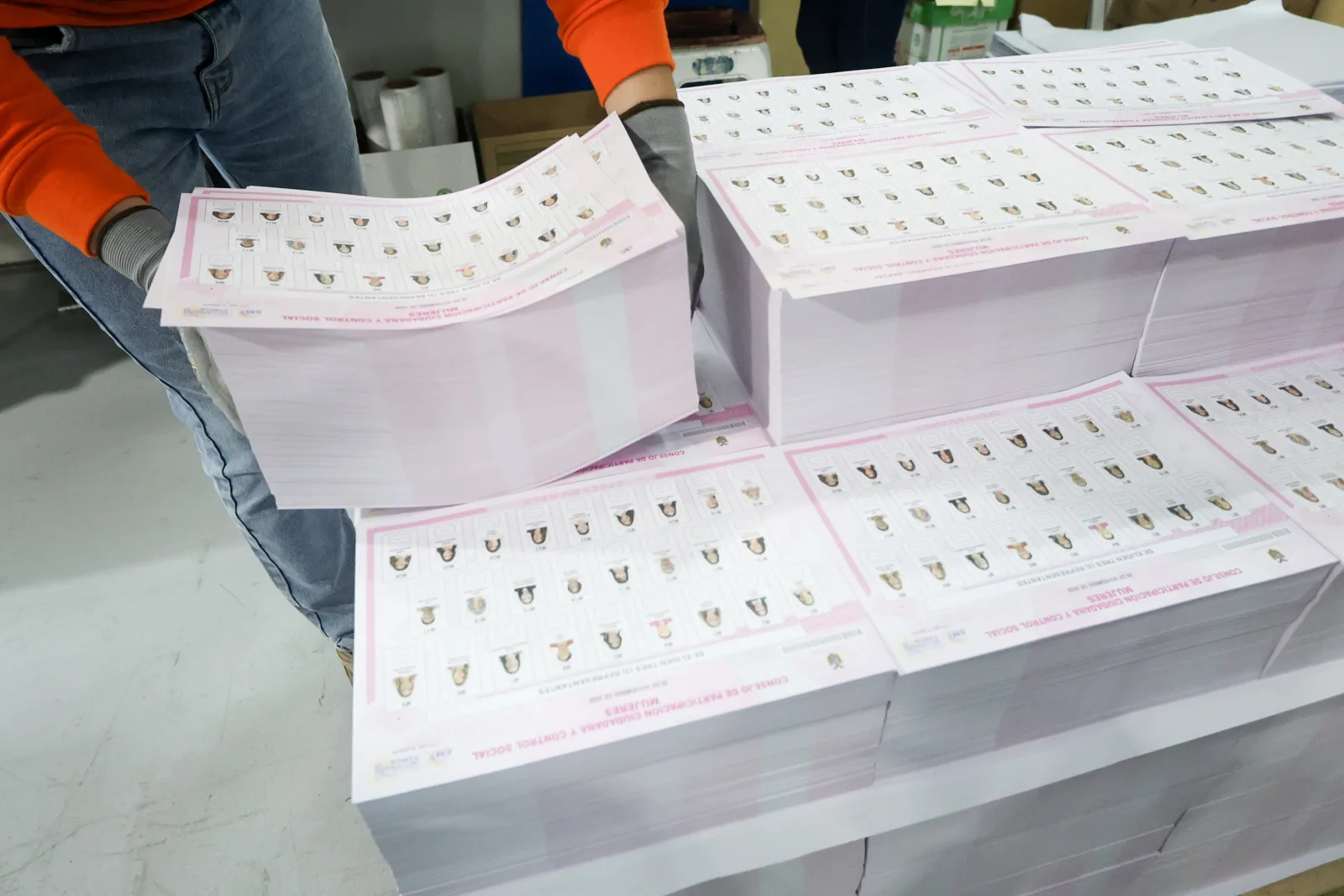 Ecuador vigilará la propaganda de los aspirantes al CPCCS