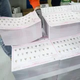 Ecuador vigilará la propaganda de los aspirantes al CPCCS