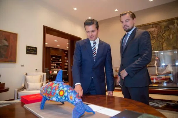México reduce el presupuesto para proteger sus ecosistemas
