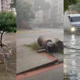 Caracas sufre anegaciones y caída de árboles tras las lluvias