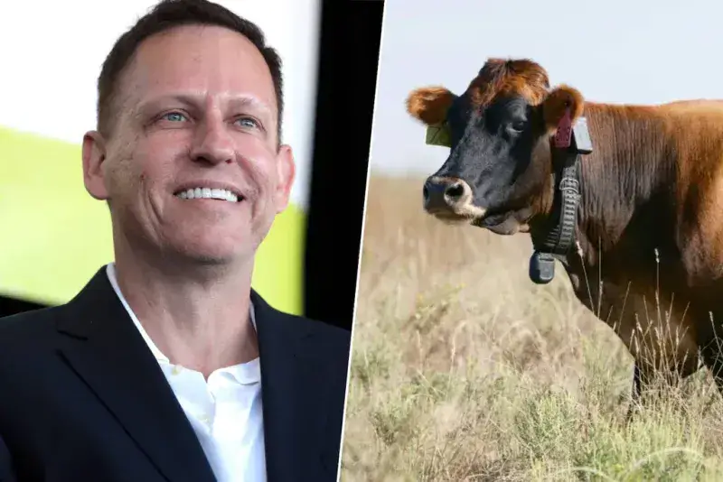 Peter Thiel apuesta por collares inteligentes con IA para controlar el ganado