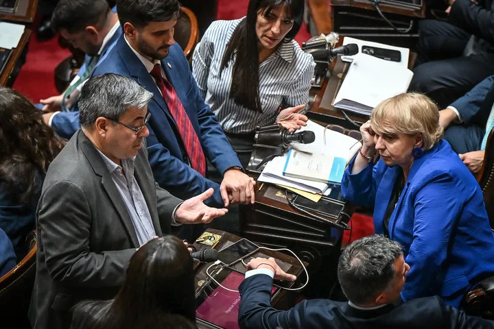 Diputados argentinos blindaron la ley de discapacidad con 237 votos