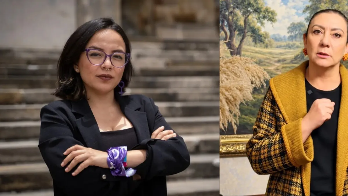 Pedraza cuestiona la formación de la directora del ICBF