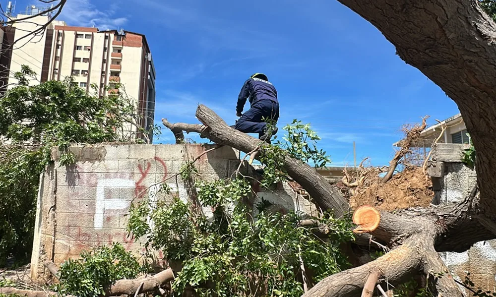 Maracaibo amanece sin daños graves tras 4 horas de lluvia