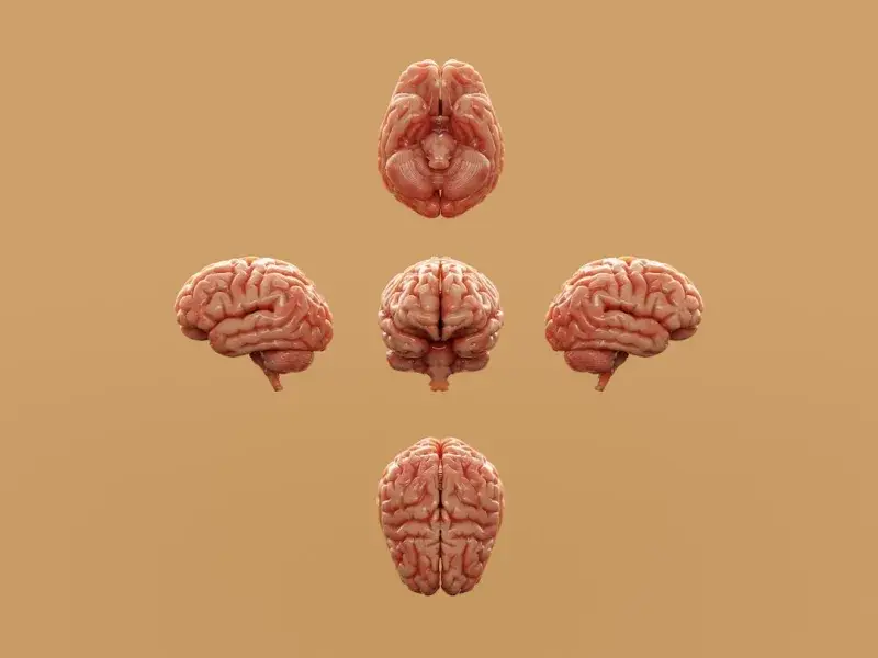 WHO lanza directrices para prevenir el 45% del riesgo de demencia