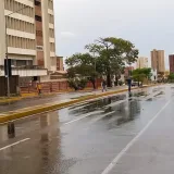 Lluvias en Maracaibo dejan un árbol caído y calles anegadas