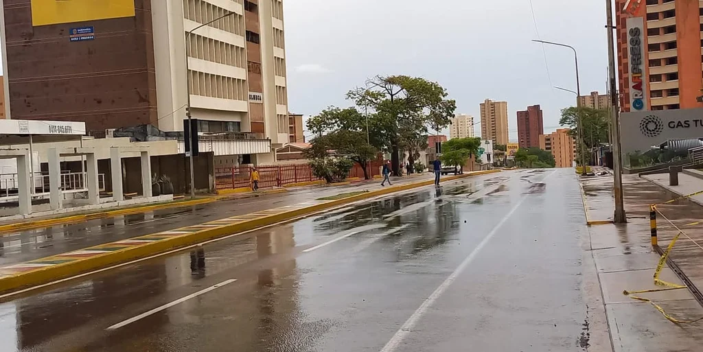 Lluvias en Maracaibo dejan un árbol caído y calles anegadas