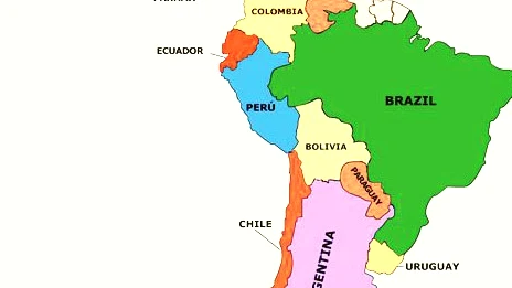 Cinco casos revelan el avance del tráfico de fauna en América Latina