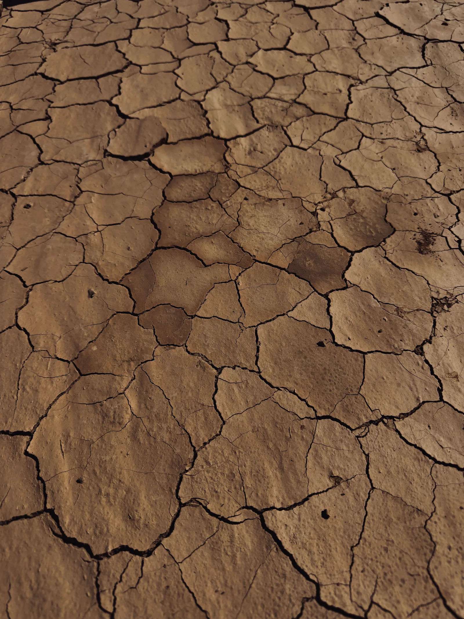 Dry cracked earth in Pica, Tarapacá, Chile, showcasing drought effects.