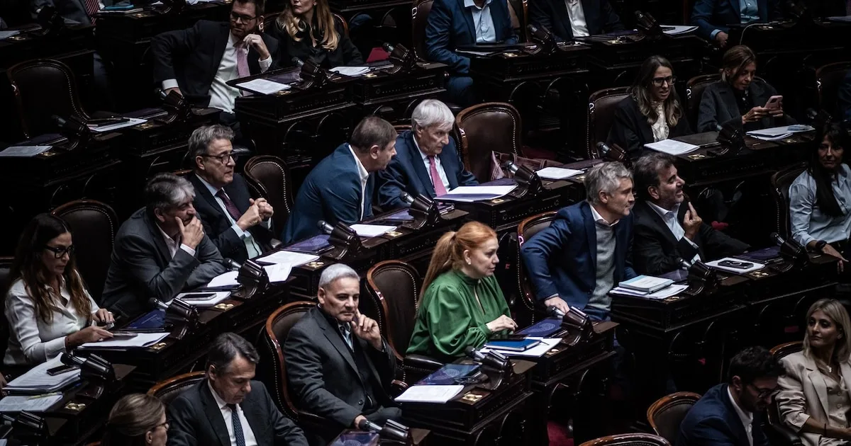 Diputados frustró la ley sobre deudas familiares y la devolvió