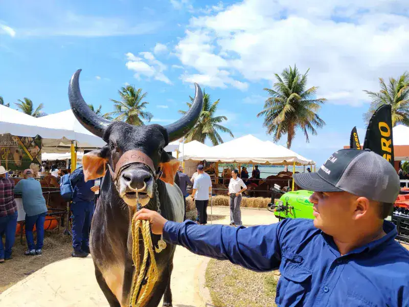 Expo Congreso de Ganadería Tropical reunió a unas 70 mil personas en Maracaibo