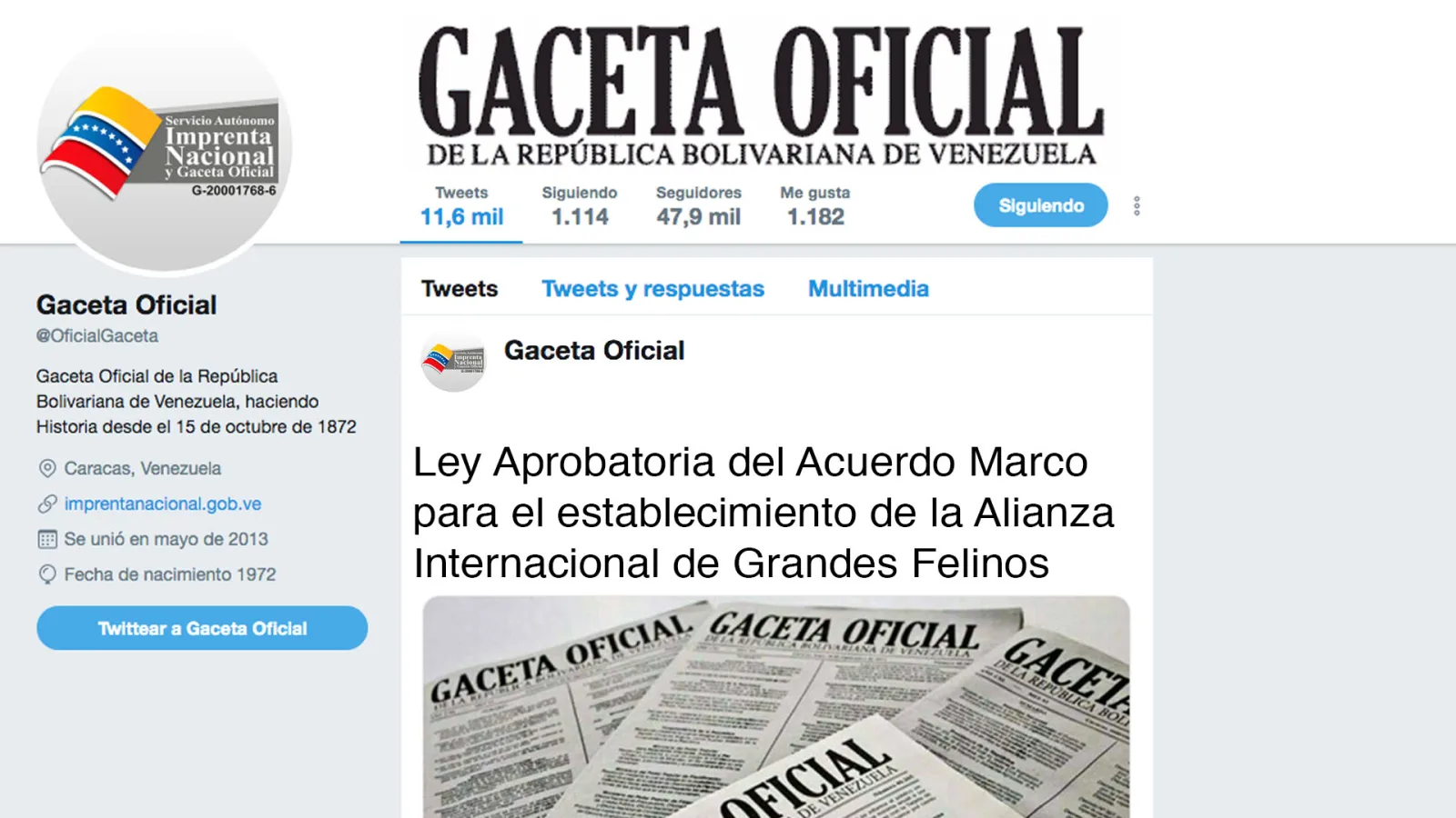 Publican ley que aprueba alianza internacional de grandes felinos