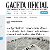 Publican ley que aprueba alianza internacional de grandes felinos