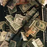 BCV fija el dólar en 736,9339 bolívares este 20 de julio