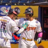 Tigres de Aragua cerró la semana en la cima de la LVBP