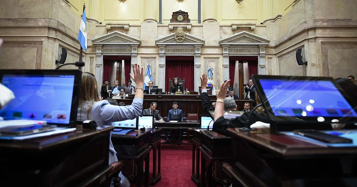 El Senado argentino avaló beneficios fiscales para invertir