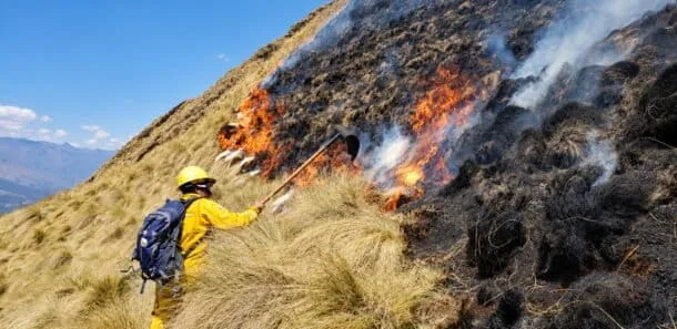 Incendios forestales dejan 12 muertos y más de 800 afectados en Perú