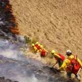 Incendios forestales dejan 12 muertos y más de 800 afectados en Perú
