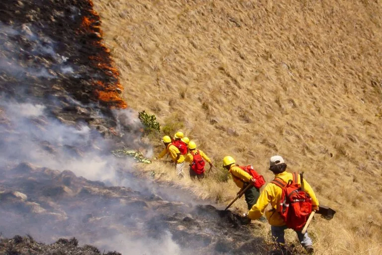 Incendios forestales dejan 12 muertos y más de 800 afectados en Perú